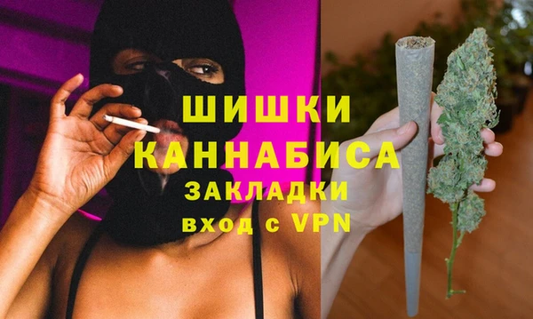 мдпв Апатиты