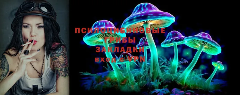 Галлюциногенные грибы Psilocybine cubensis  купить наркотик  Инза 